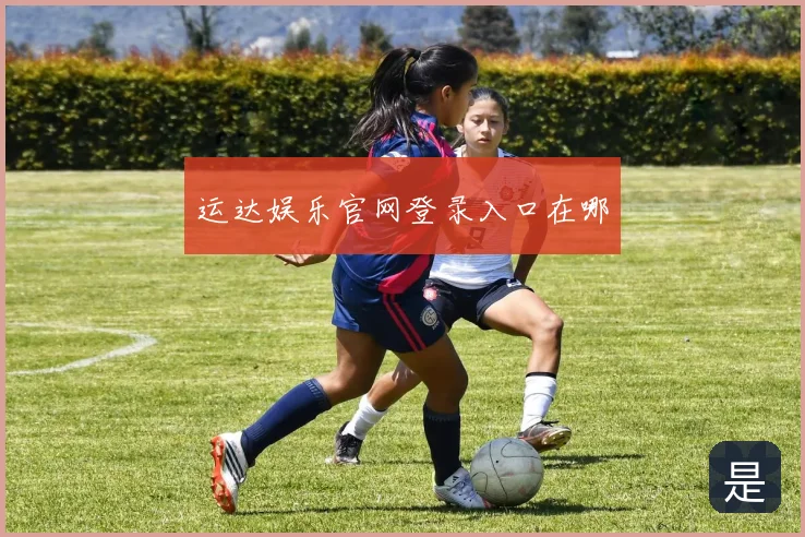 运达娱乐官网登录入口在哪